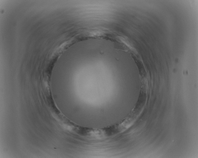 X0000076430415200610202250