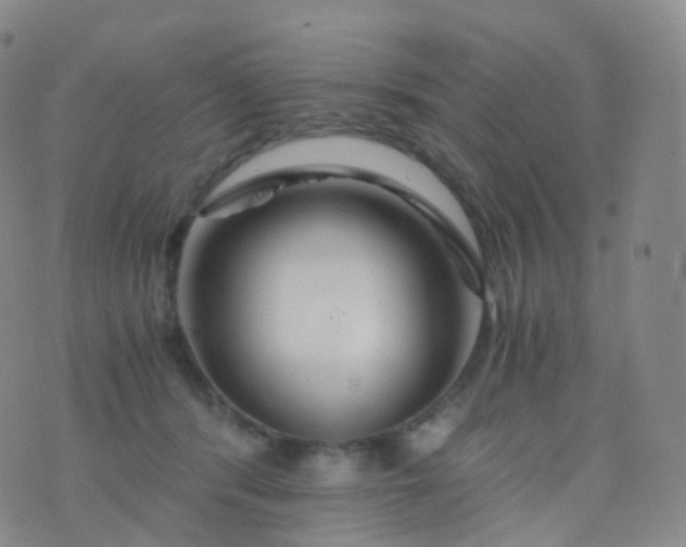 X0000076430416200610202250