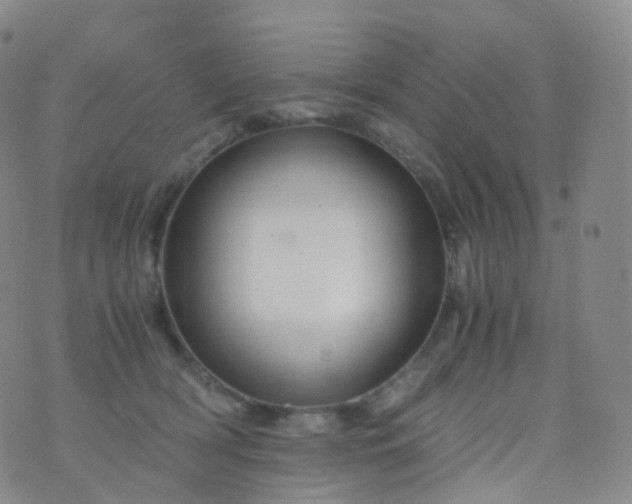 X0000076430418200610202250