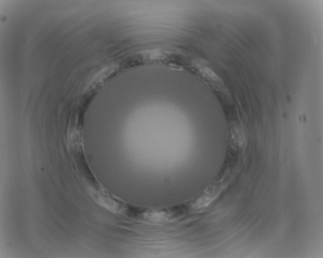 X0000076430419200610202250