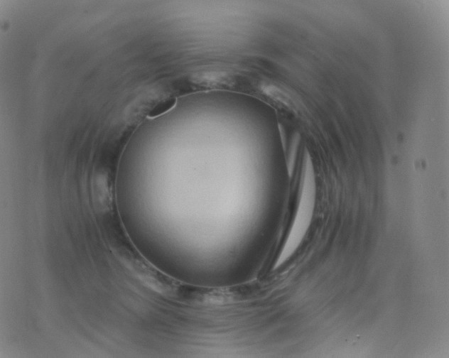 X0000076430420200610202250