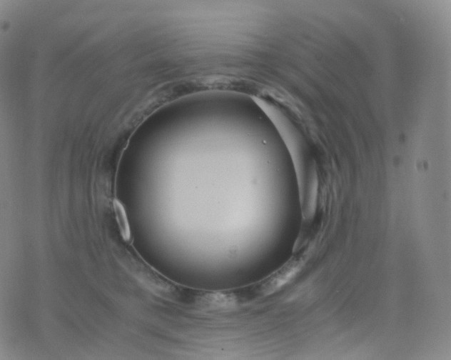 X0000076430421200610202250