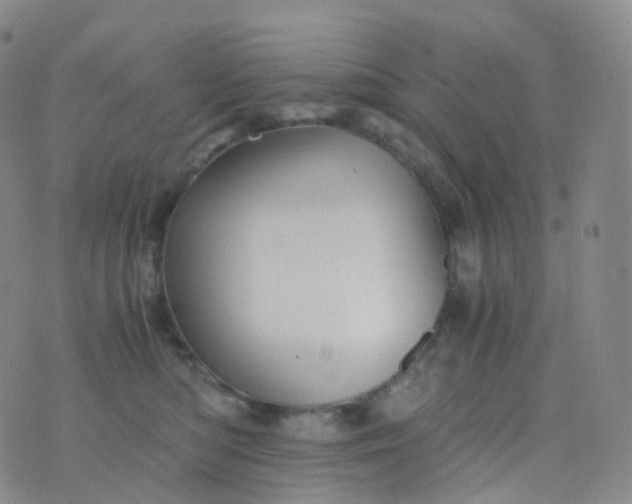 X0000076430422200610202250