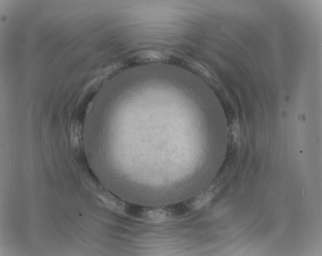 X0000076430423200610202250