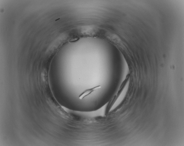 X0000076430424200610202249