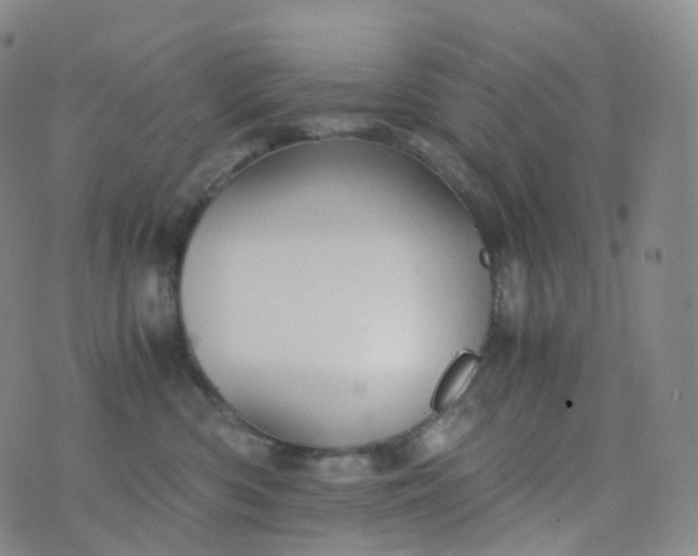 X0000076430426200610202249