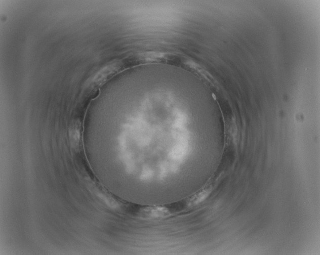 X0000076430427200610202249