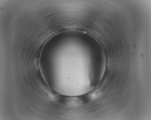 X0000076430428200610202249