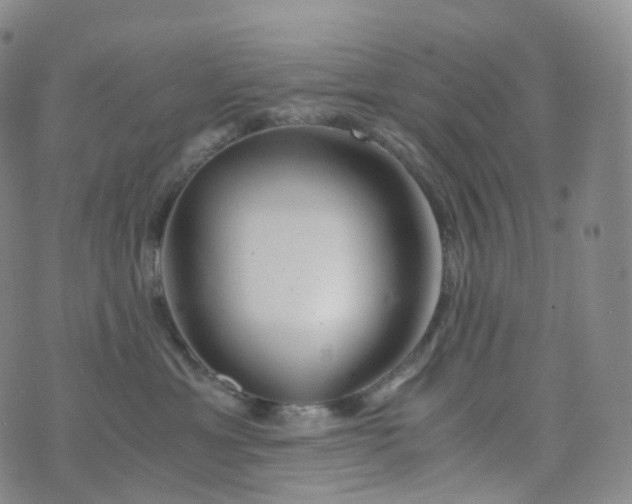 X0000076430429200610202249