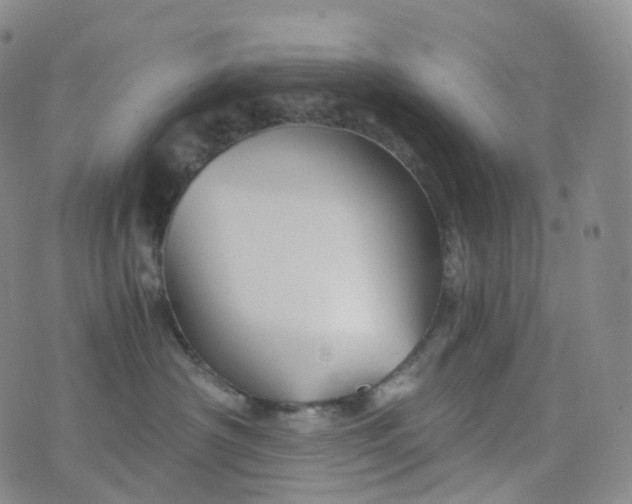 X0000076430430200610202249