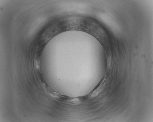 X0000076430431200610202249