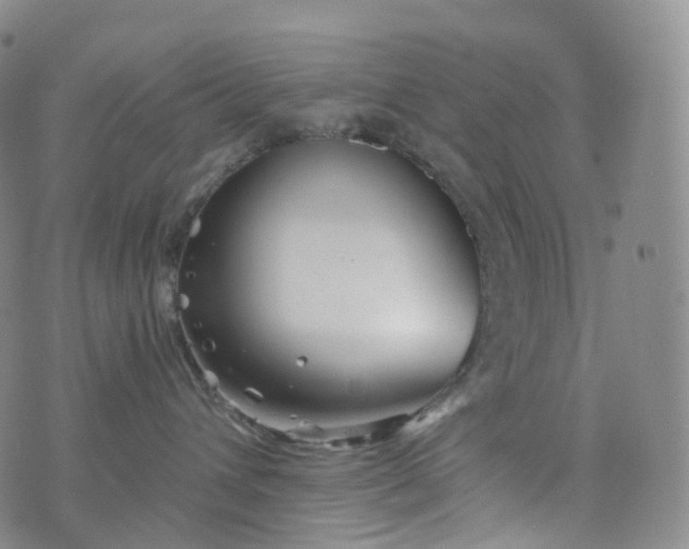 X0000076430432200610202249