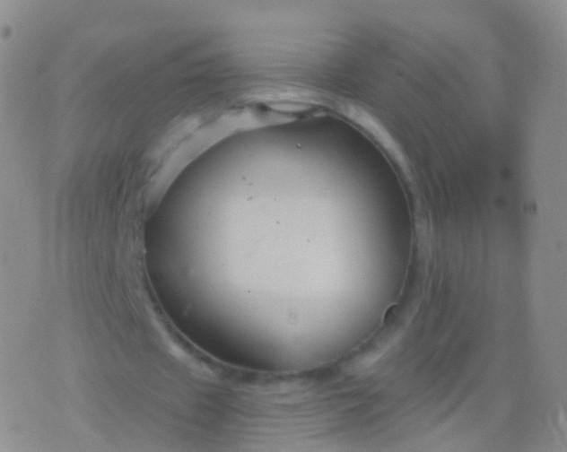 X0000076430433200610202249