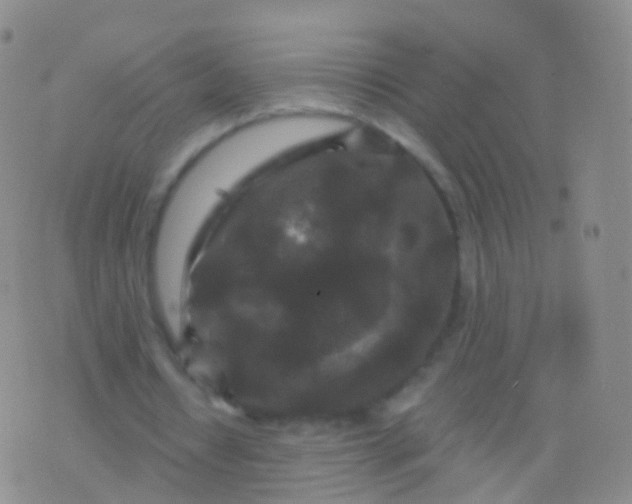 X0000076430434200610202249