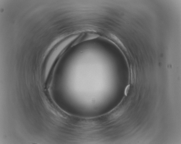 X0000076430435200610202249