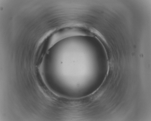 X0000076430436200610202249