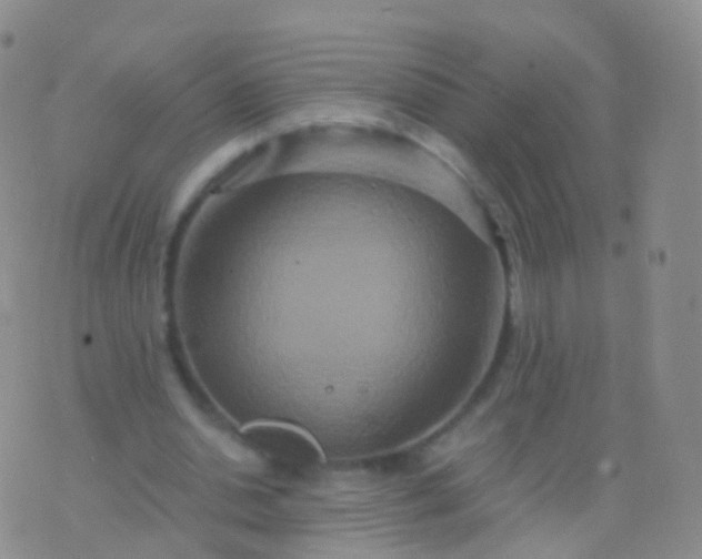 X0000076430438200610202249