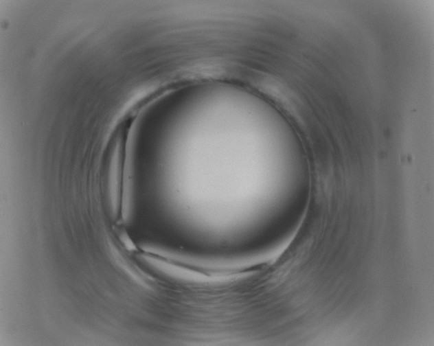 X0000076430439200610202249