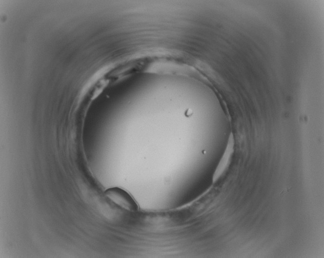 X0000076430440200610202249