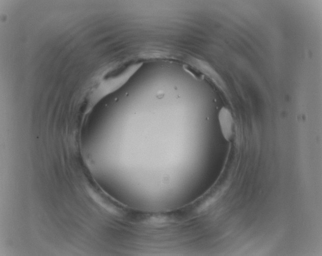 X0000076430441200610202249