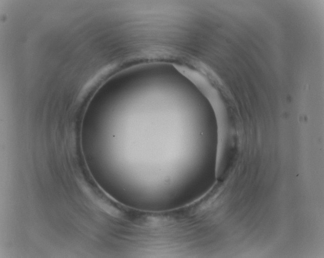 X0000076430442200610202249