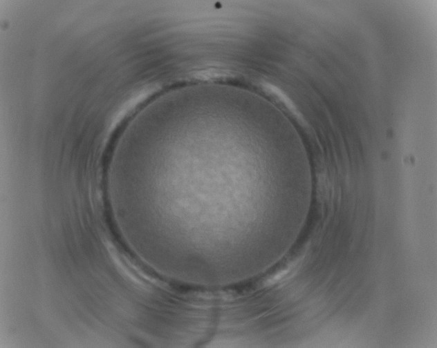 X0000076430443200610202249