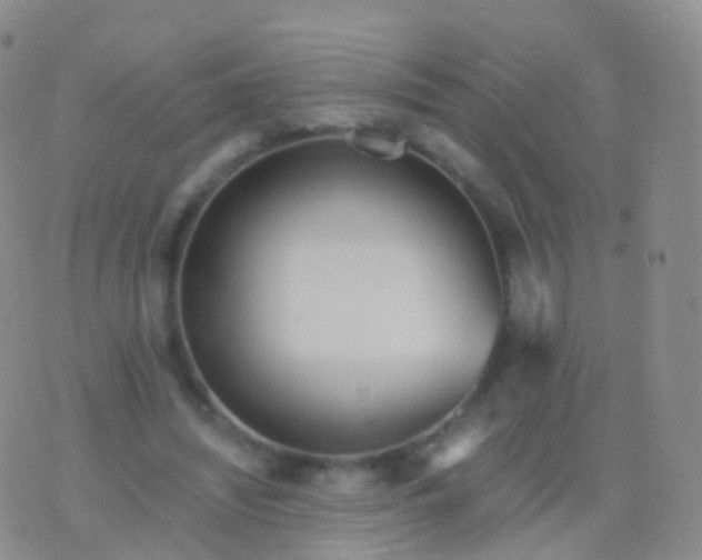 X0000076430444200610202249