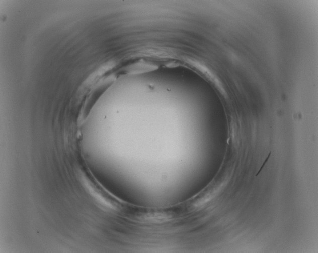 X0000076430445200610202249