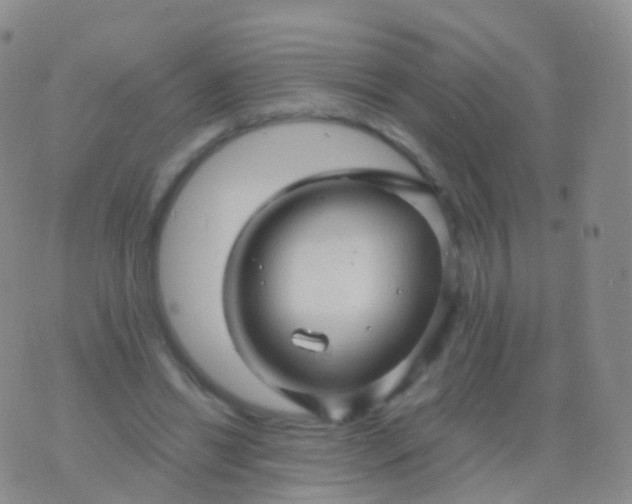 X0000076430446200610202249