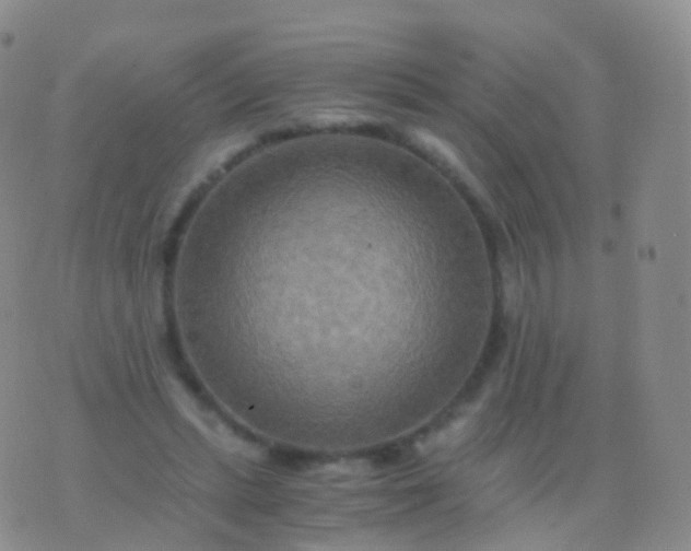 X0000076430447200610202249