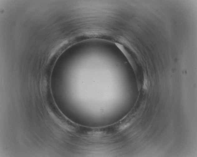 X0000076430448200610202249