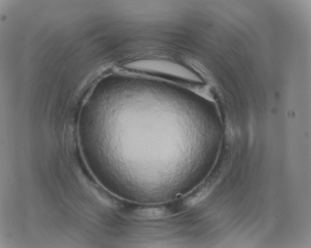 X0000076430449200610202249