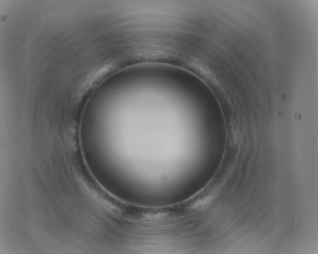 X0000076430450200610202249