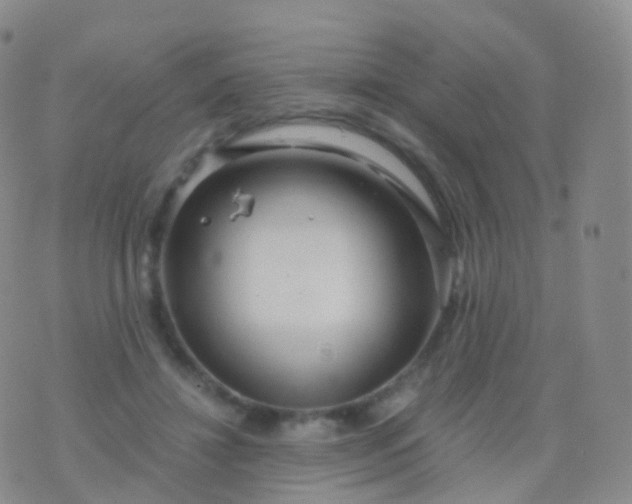 X0000076430452200610202249