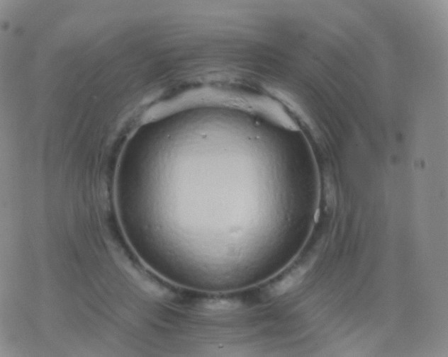 X0000076430453200610202249