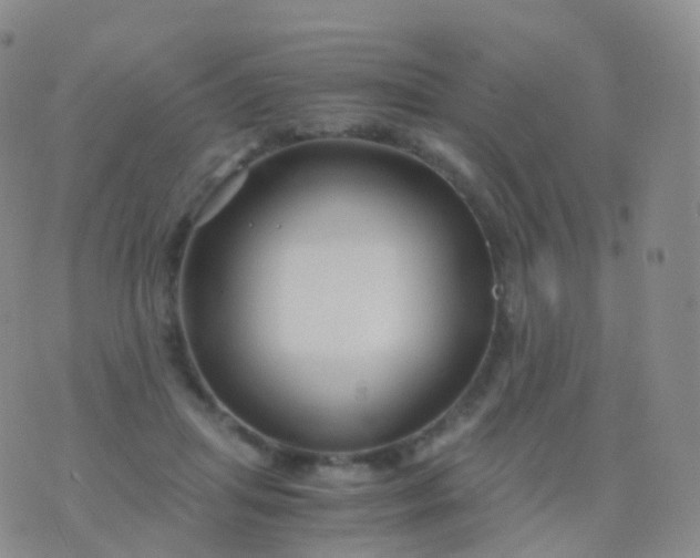 X0000076430455200610202249