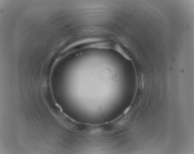 X0000076430456200610202249