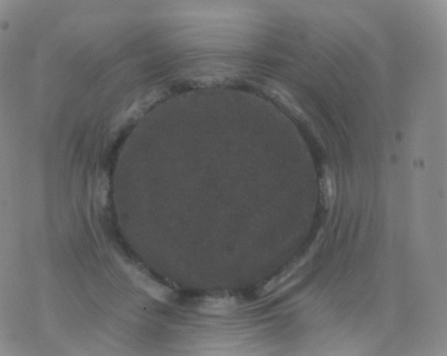 X0000076430458200610202249