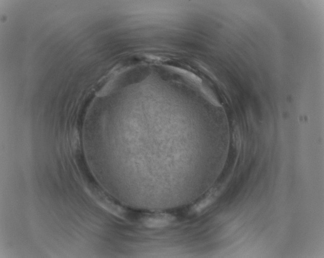 X0000076430459200610202249