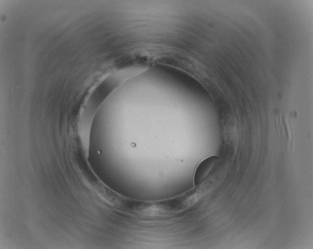 X0000076430460200610202249