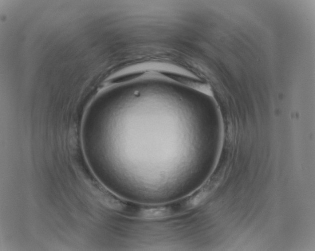 X0000076430461200610202249