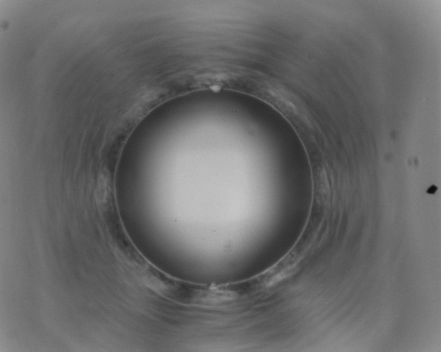 X0000076430463200610202249