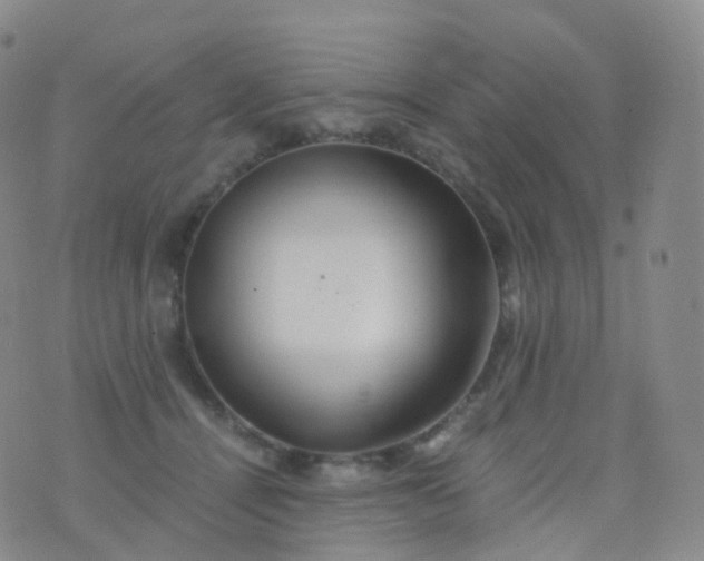 X0000076430464200610202249