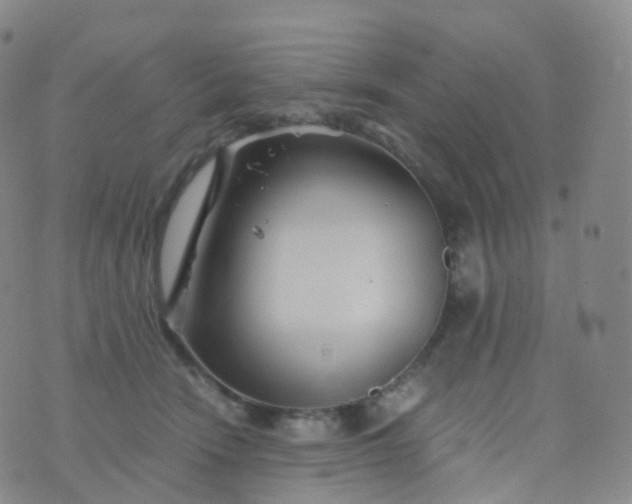 X0000076430466200610202249