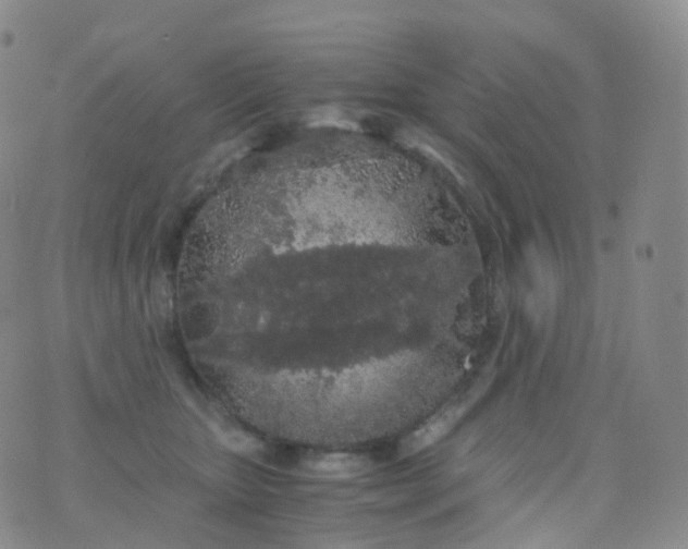 X0000076430467200610202249