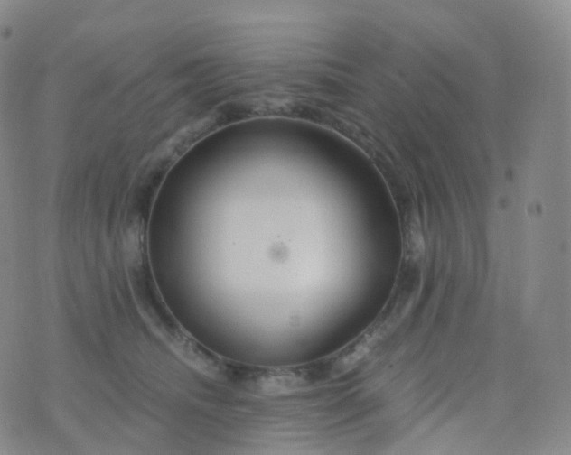 X0000076430468200610202249