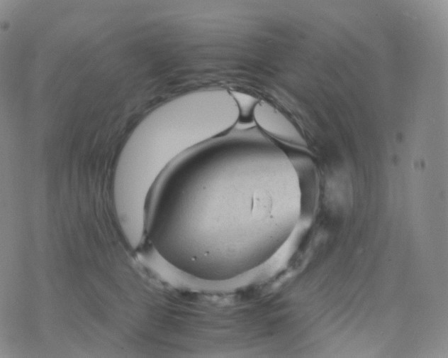 X0000076430469200610202249