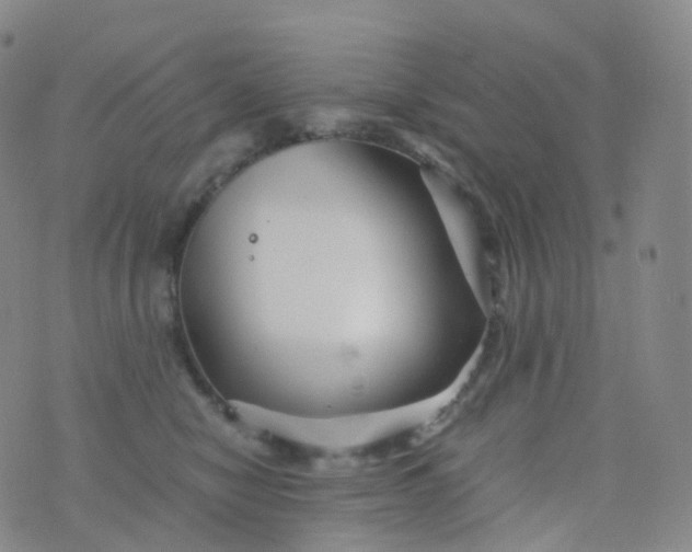 X0000076430470200610202249