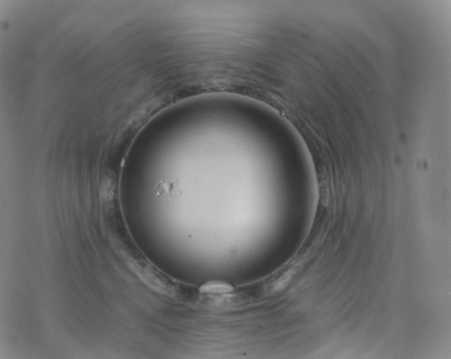 X0000076430472200610202249