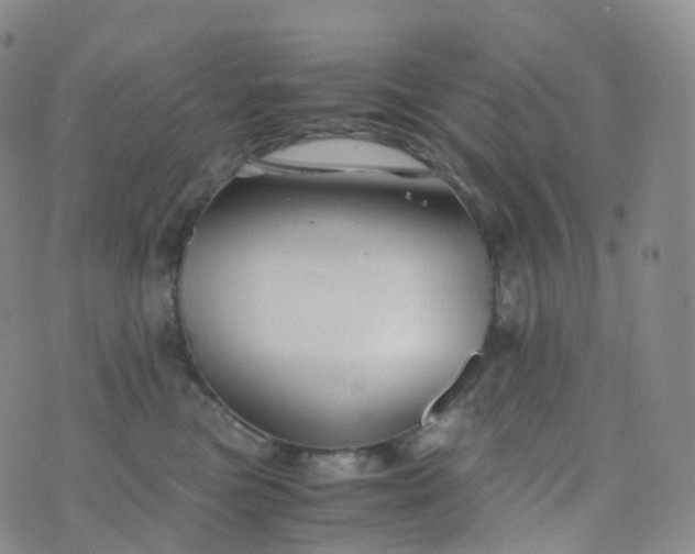 X0000076430473200610202249